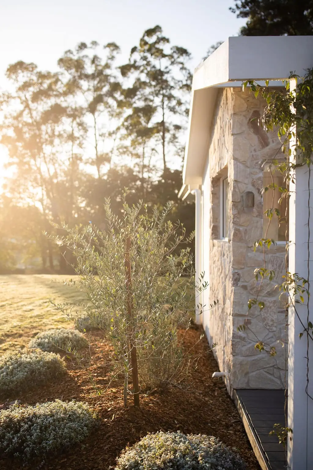 Designer home builders sunshine coast
